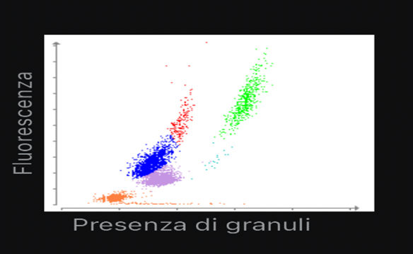 analisi_emato_biochimiche.png